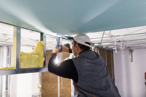Best Insulation Maintenance and Repair in Coker, AL
